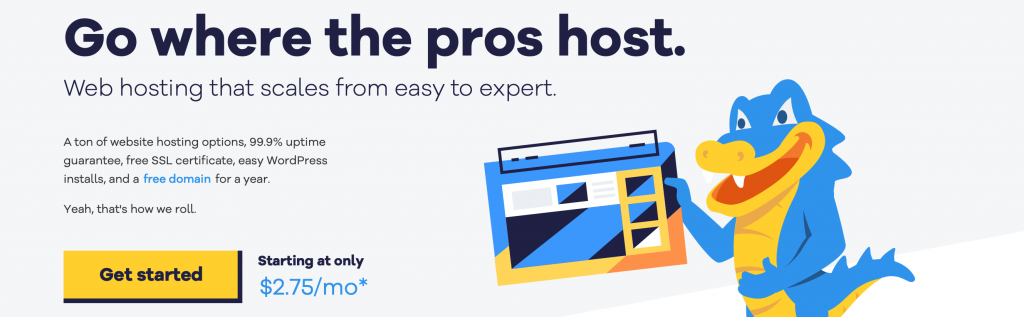 HostGator beginner hosting provider