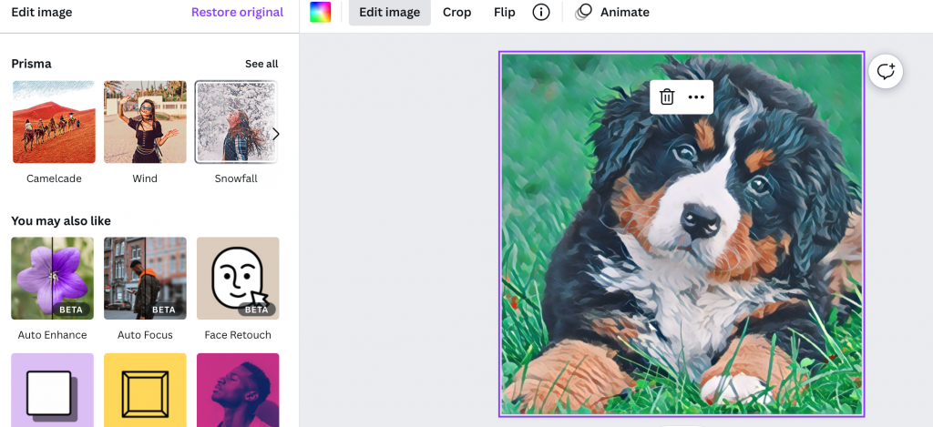 How to make a watercolor effect in Canva